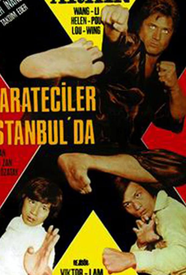Каратисты в Стамбуле