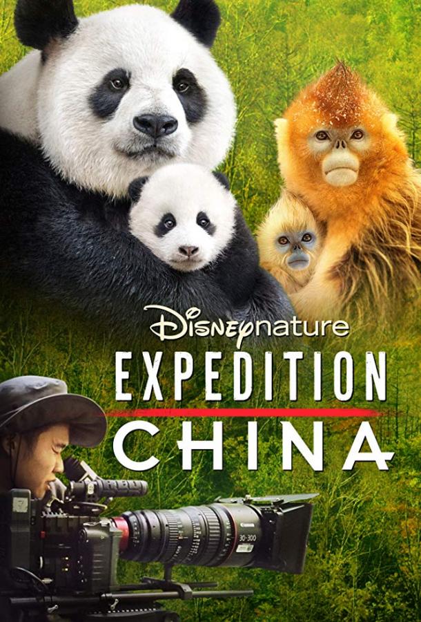 Экспедиция Китай
