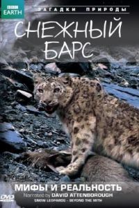 BBC: Снежный барс: Мифы и реальности / Natural World: Snow Leopard - Beyond the Myth (2007)