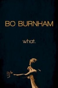 Бо Бёрнем: Что. / Bo Burnham: what. (2013)