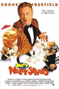Познакомьтесь с Уолли Спарксом / Meet Wally Sparks (1996)