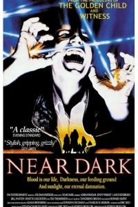 Почти стемнело / Near Dark (1987)