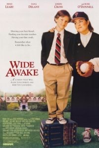 Пробуждение / Wide Awake (1998)