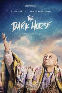 Тёмная лошадка / The Dark Horse (2014)