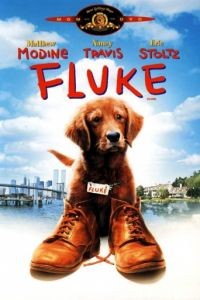Флюк / Fluke (1995)