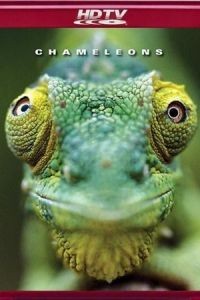 Хамелеоны мира / Chameleons of the world (2011)