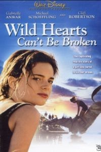 Храбрых сердцем не сломить / Wild Hearts Can't Be Broken (1991)