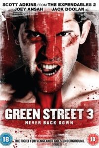 Хулиганы 3 / Green Street 3: Never Back Down (2013)
