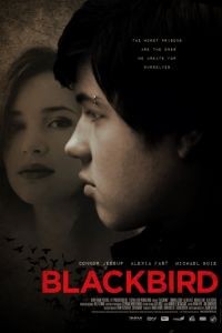 Чёрный дрозд / Blackbird (2012)