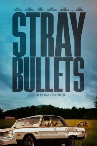 Шальные пули / Stray Bullets (2016)