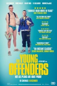 Юные преступники / The Young Offenders (2016)