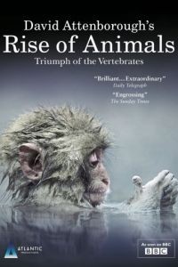 BBC. Восстание животных: Триумф позвоночных  