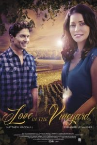 Любовь в винограднике / Love in the Vineyard (2016)