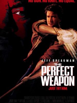 Совершенное оружие / The Perfect Weapon (1991)