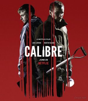 Калибр / Calibre (2018)