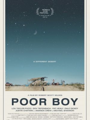 Бедный мальчик / Poor Boy (2016)