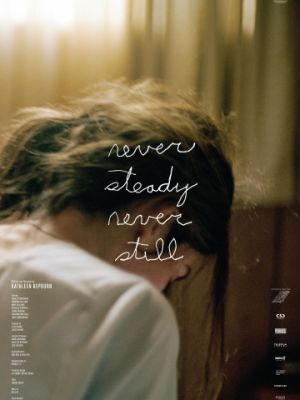 Жизнь в движении / Never Steady, Never Still (2017)