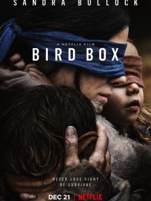 Птичий короб / Bird Box (2018)