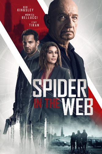 Паук в паутине / Spider in the Web (2019)