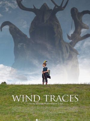 Следы ветра / Restos de viento (2017)