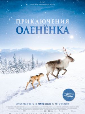 Приключения олененка / A?lo: Une odyss?e en Laponie (2018)