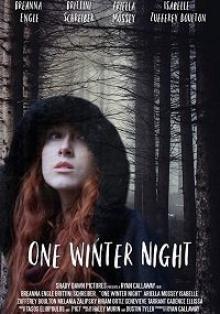 Однажды зимней ночью